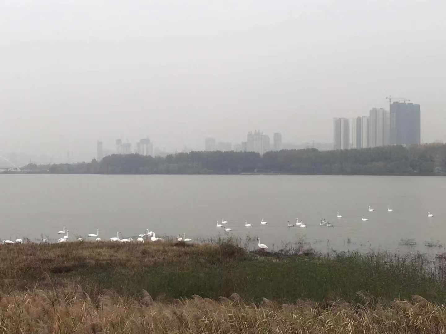 球王会平台